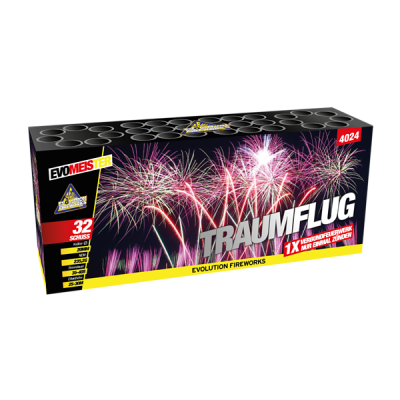 Traumflug Traumflug