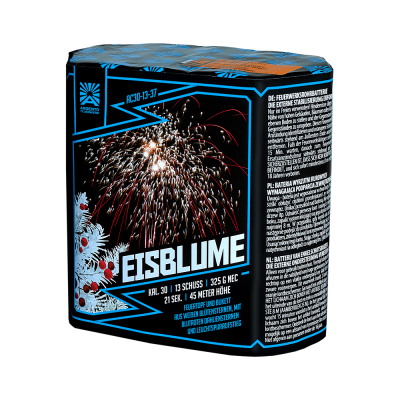 Eisblume Eisblume