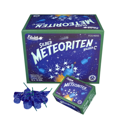 Silber Meteoriten Kaliber C Silber Meteoriten Kaliber C