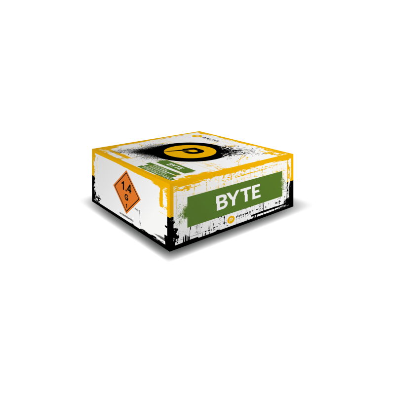 Byte