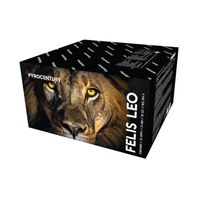 Felis Leo Felis Leo